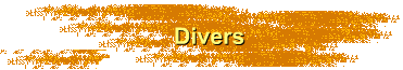 Divers